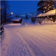 Studente universitario ultimo semestre del Bachelor